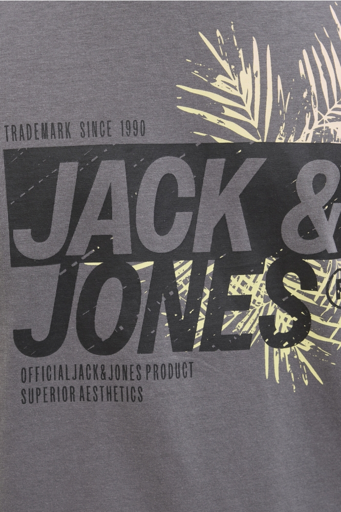 JJJAXON TEE SS CREW NECK 12269390 CASTLEROCK